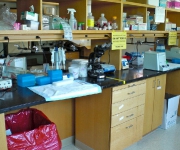 Lab